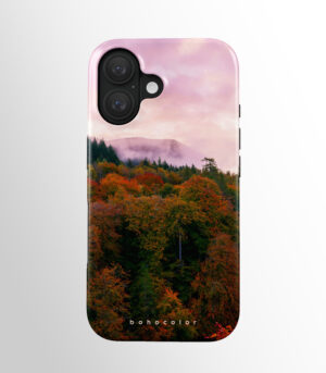 Enchanted Forest