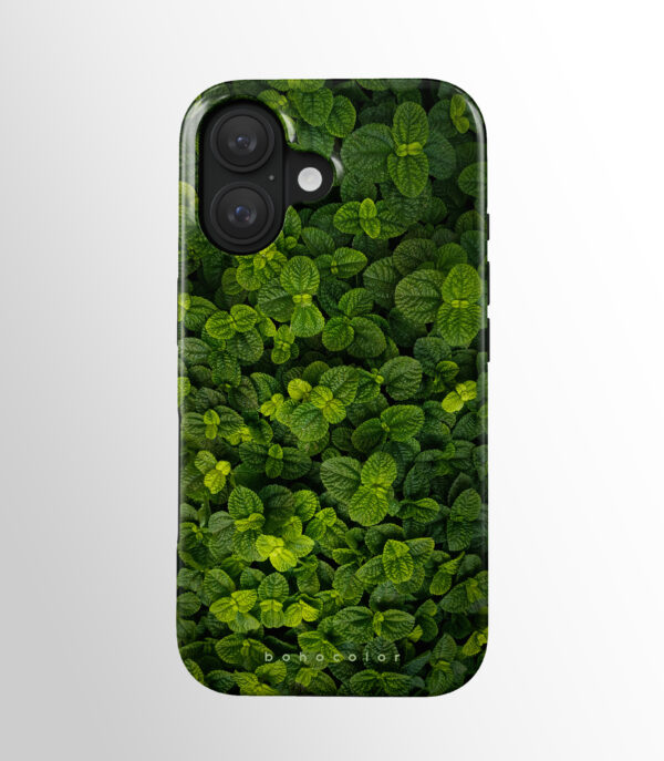 Mint Whisper - Imagen 2