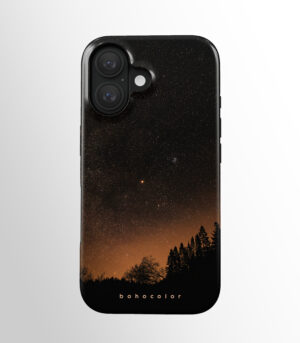 Starry Woods