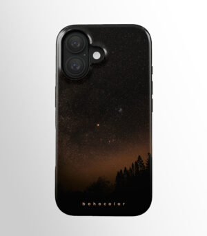 Starry Woods