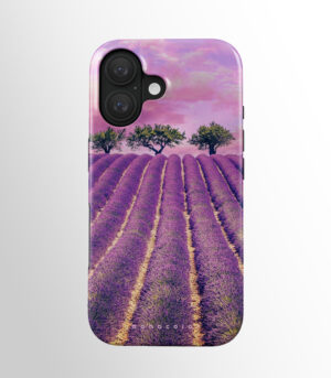 Lavender Haze