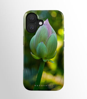 Lotus Bud