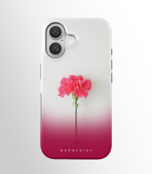 Pink Bloom