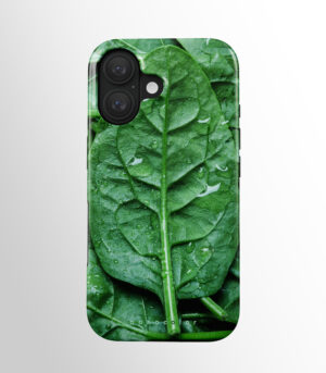Leaf Beauty